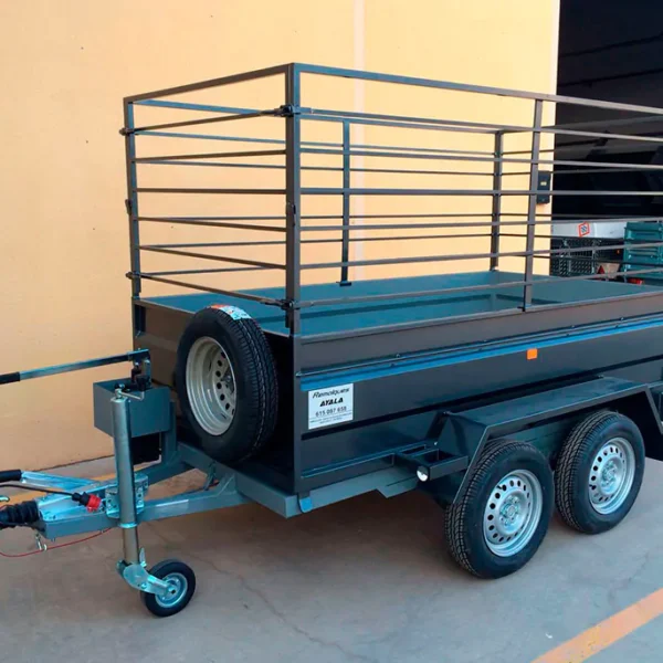 Remolque 2 ejes 2.500 x 1.500 x 500 – Reforzado – Mma 750 kg